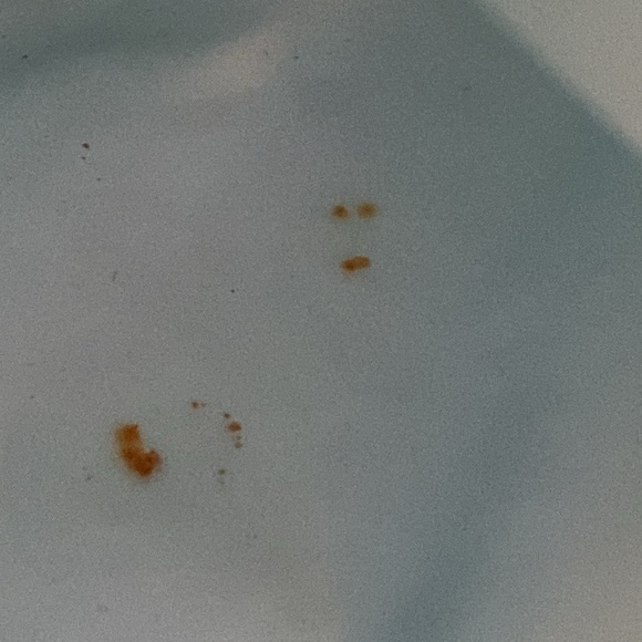 LeSportsac Tote Bag and Pouch in EUC - Picture 7 of 13